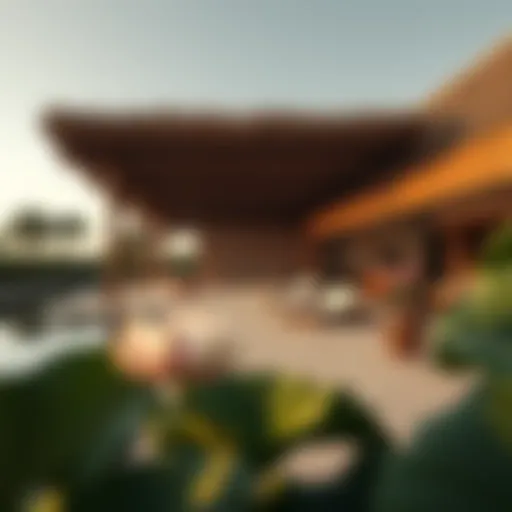 The Interplay of Nature and Luxury: Exploring the Creek Beach Lotus Experience Introduction