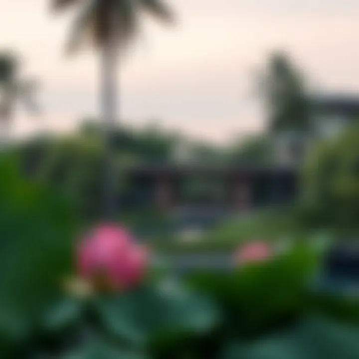 The Interplay of Nature and Luxury: Exploring the Creek Beach Lotus Experience Summary