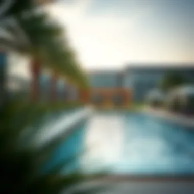 Luxurious Amenities at The Oasis Dubai Luxurious amenities at The Oasis Dubai highlighting recreational facilities