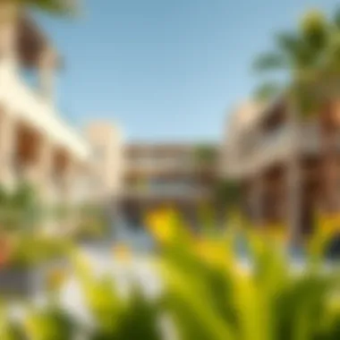 Community Spaces in The Oasis Dubai Vibrant community spaces within The Oasis Dubai fostering interaction and lifestyle