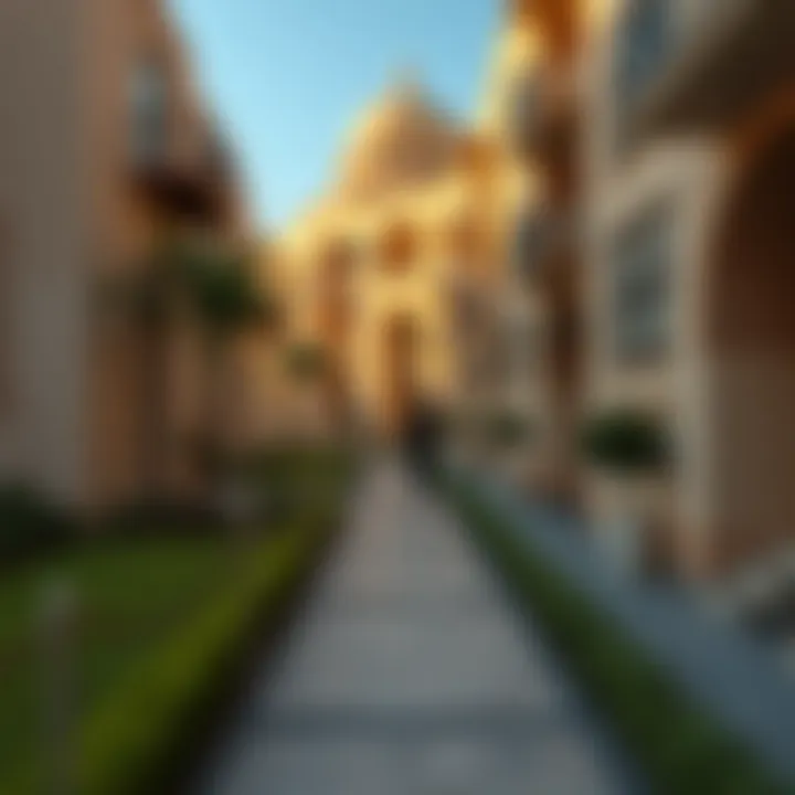The Walking Path of Muwailih: A Comprehensive Exploration Summary