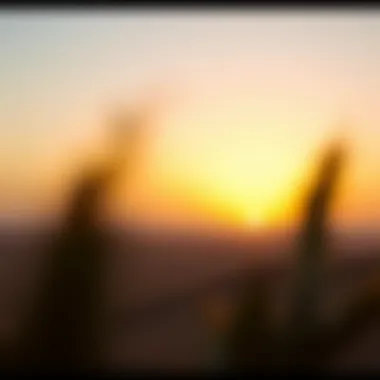 Stunning view of the desert landscape at sunset