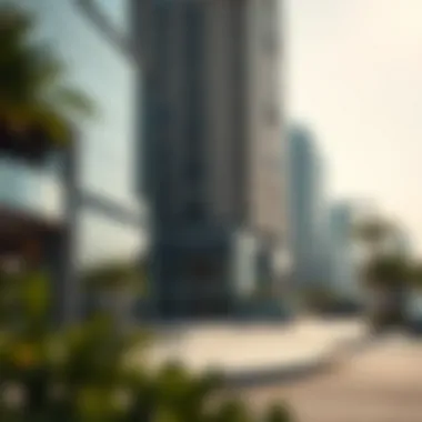 Visual representation of CIBIL scores in the UAE