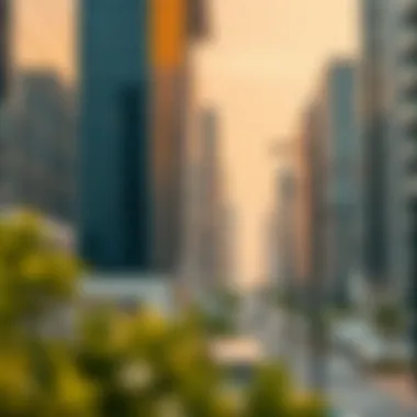 Graphical representation of market trends in Dubai real estate